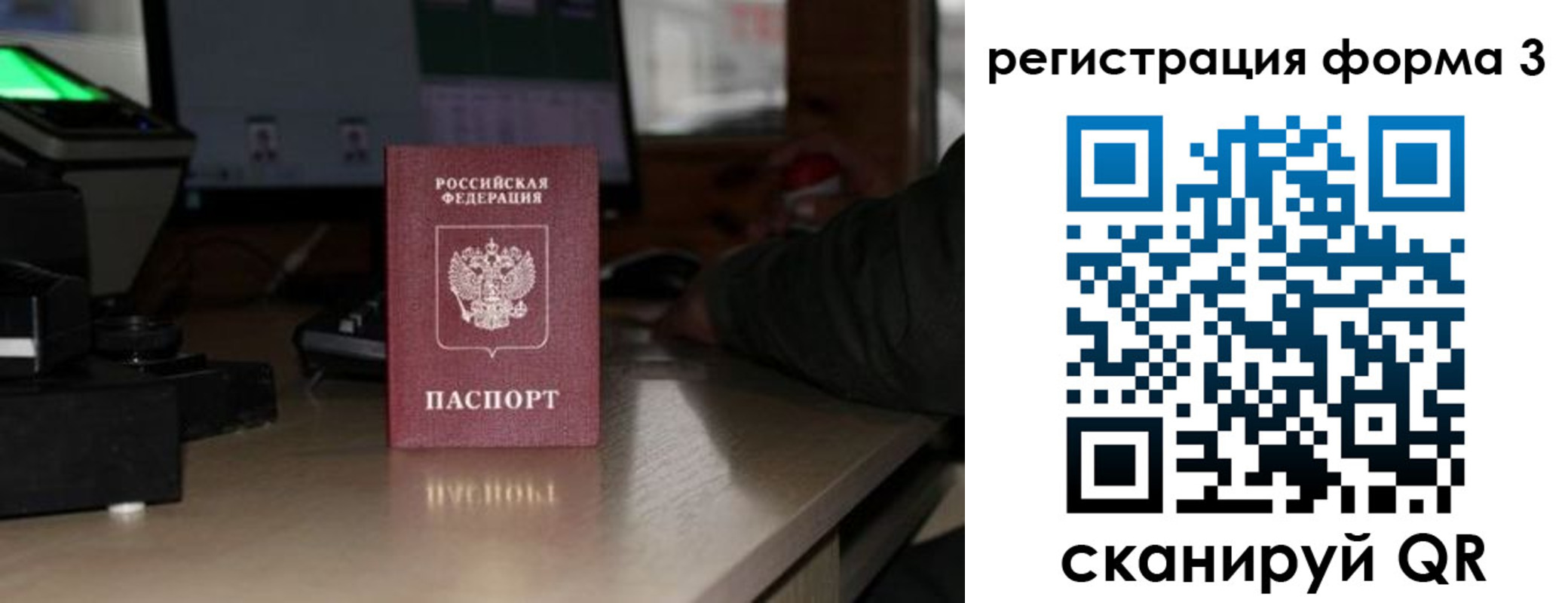 временная регистрация гарантия в Курской области